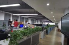 Application and software Development